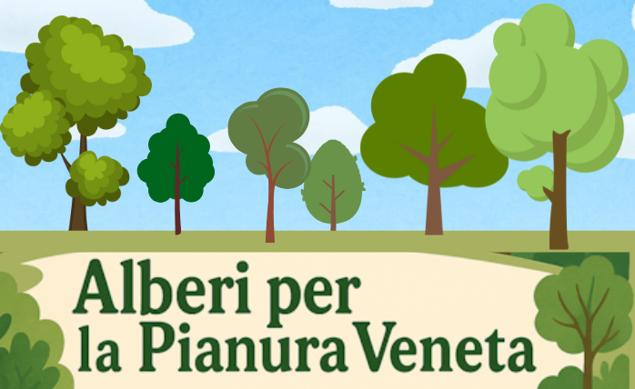 alberi in pianura