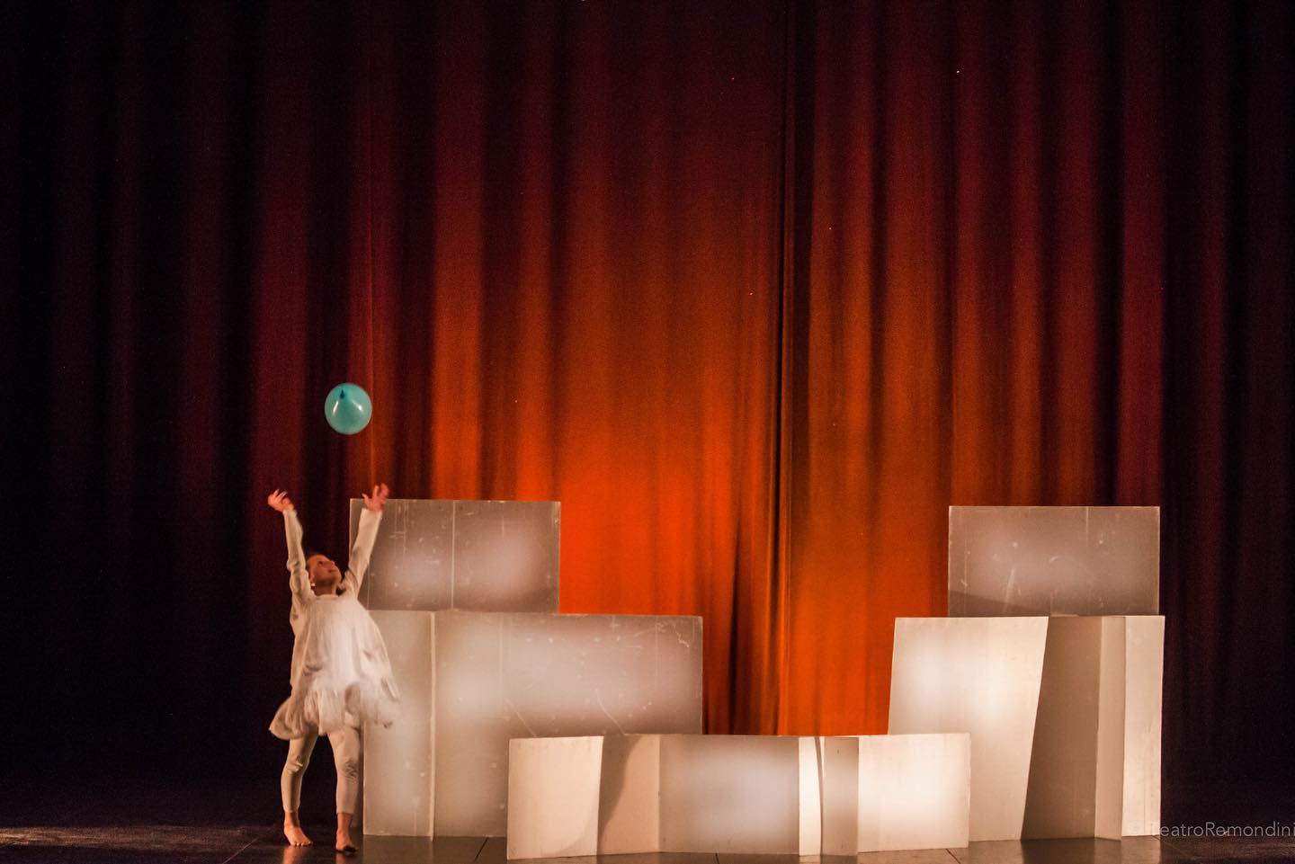 6_Storia della gabbianella e di un gatto