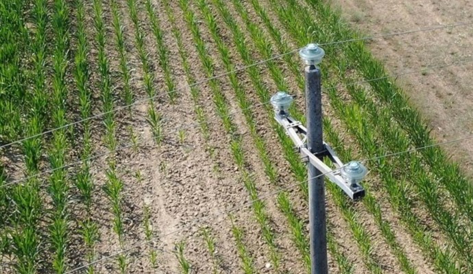 LINEA ELETTRICA (custom)