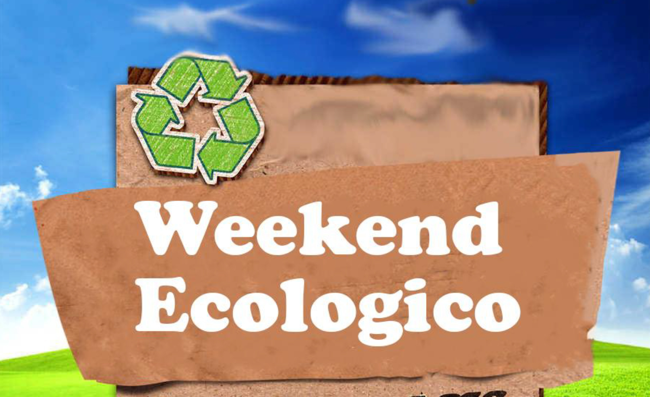 GEco manifesto 2026 cutted