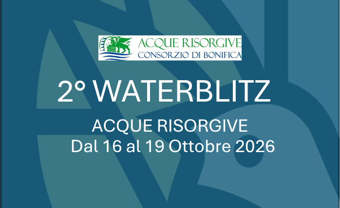 2 Waterblitz